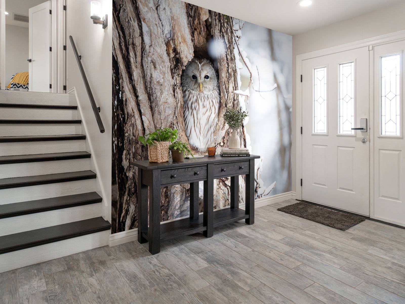 White owl in a hollow tree