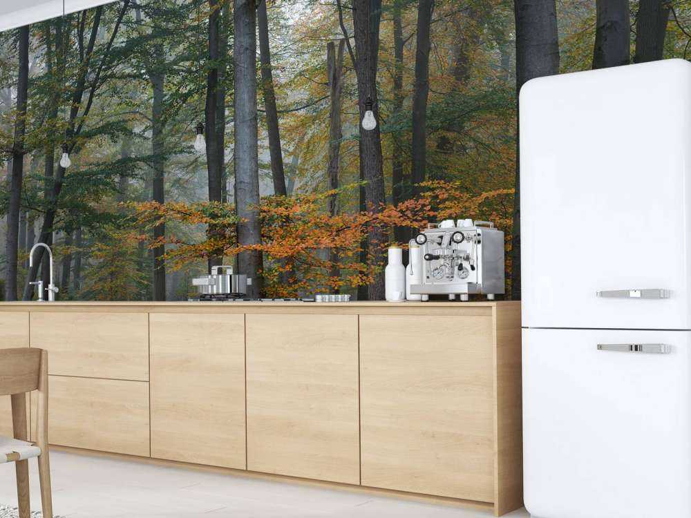 Autumn colours in misty forest