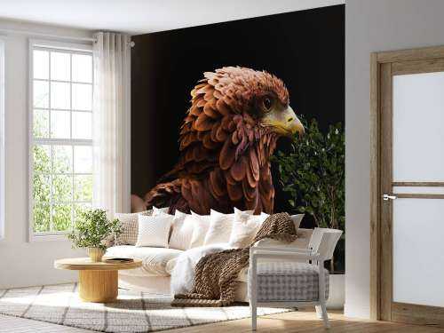 Roman Hawk