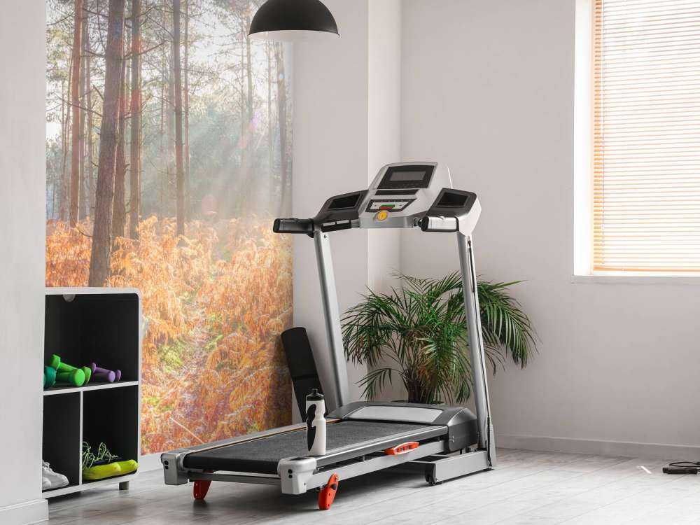 Sun rays through the forest