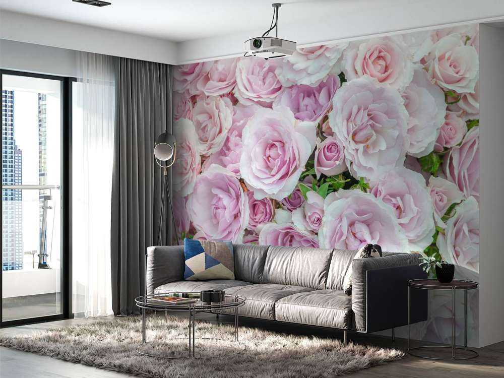 Colorful white and pink roses