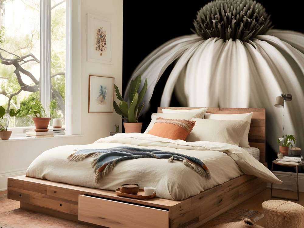 Cone flower close-up