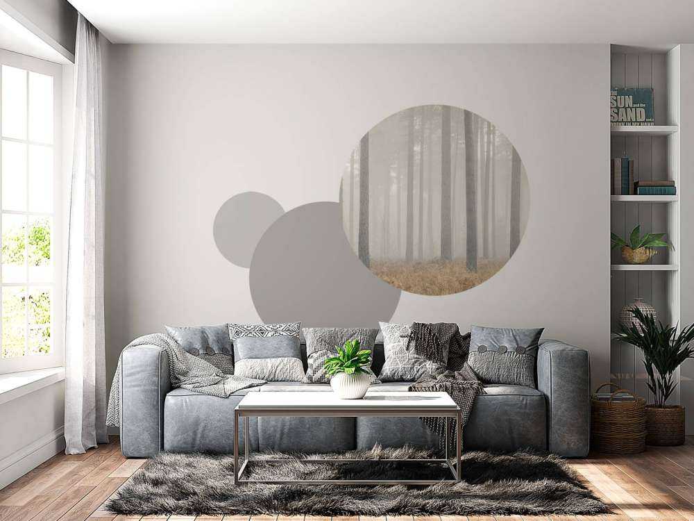 Misty mysterious forest