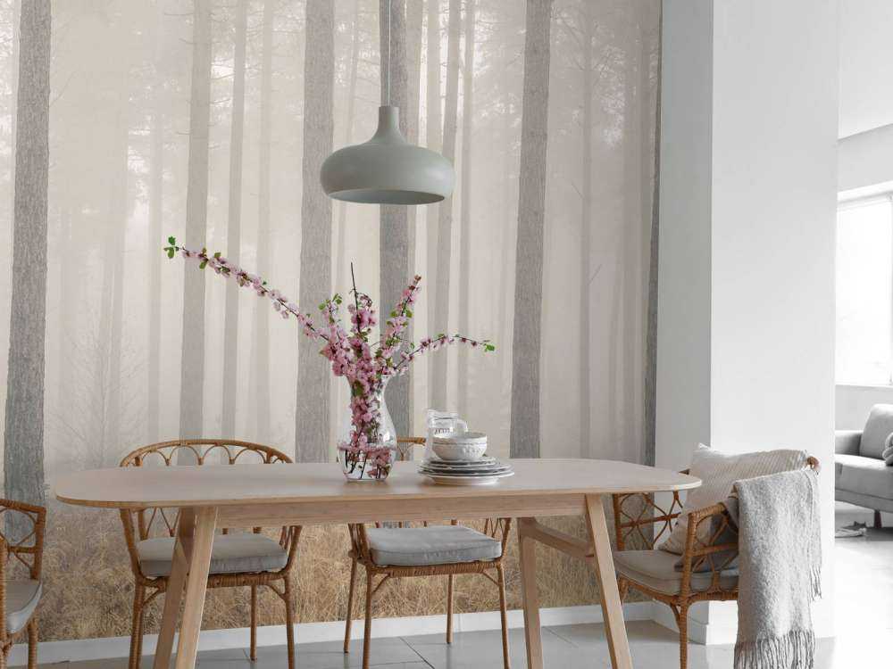 Misty mysterious forest