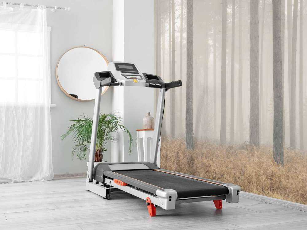 Misty mysterious forest