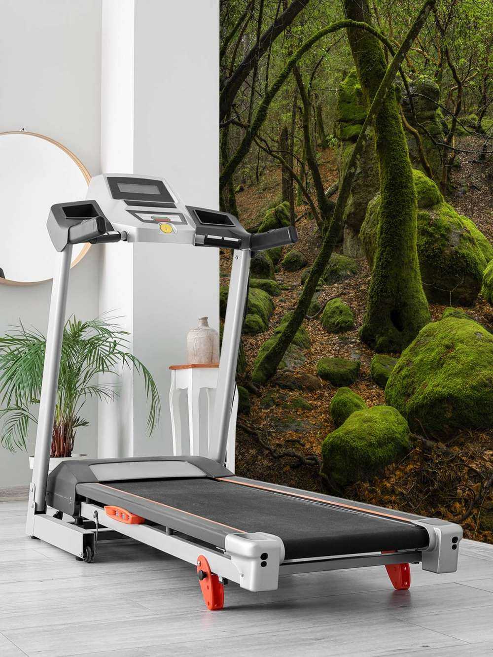 Trees and moss stones