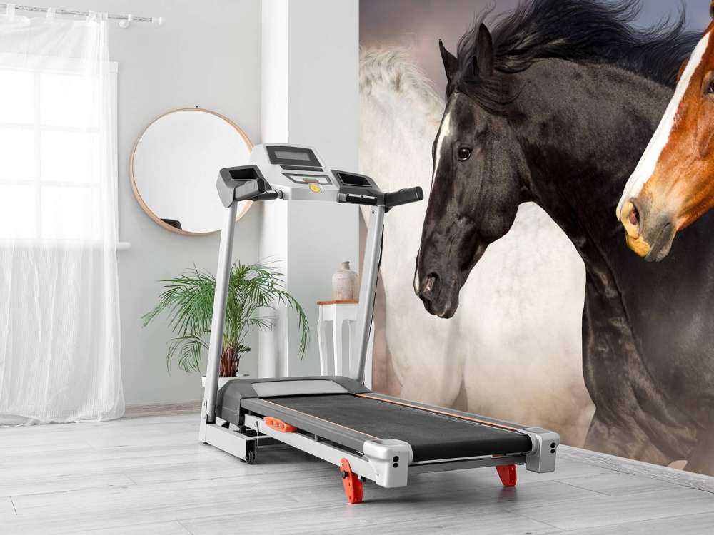 Herd of horses