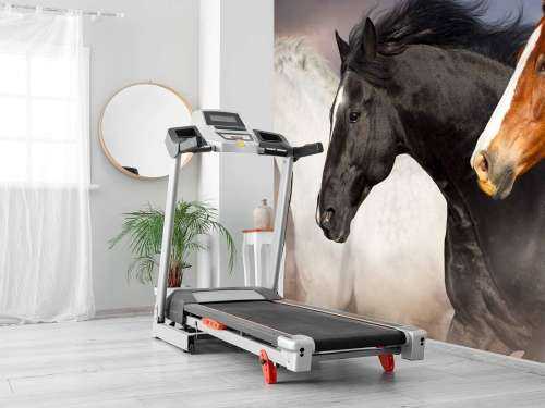 Herd of horses