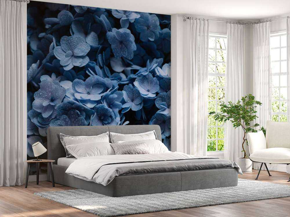 Close-up hydrangeas