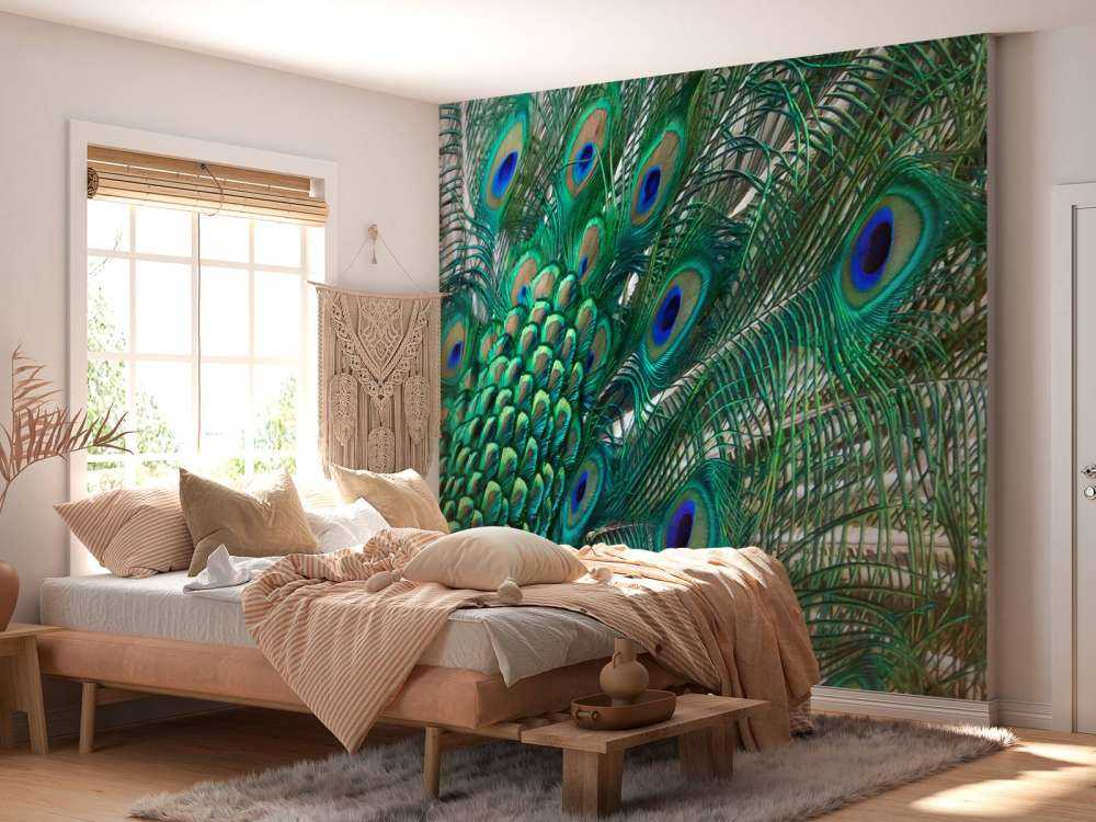 Colored plumage of a peacock