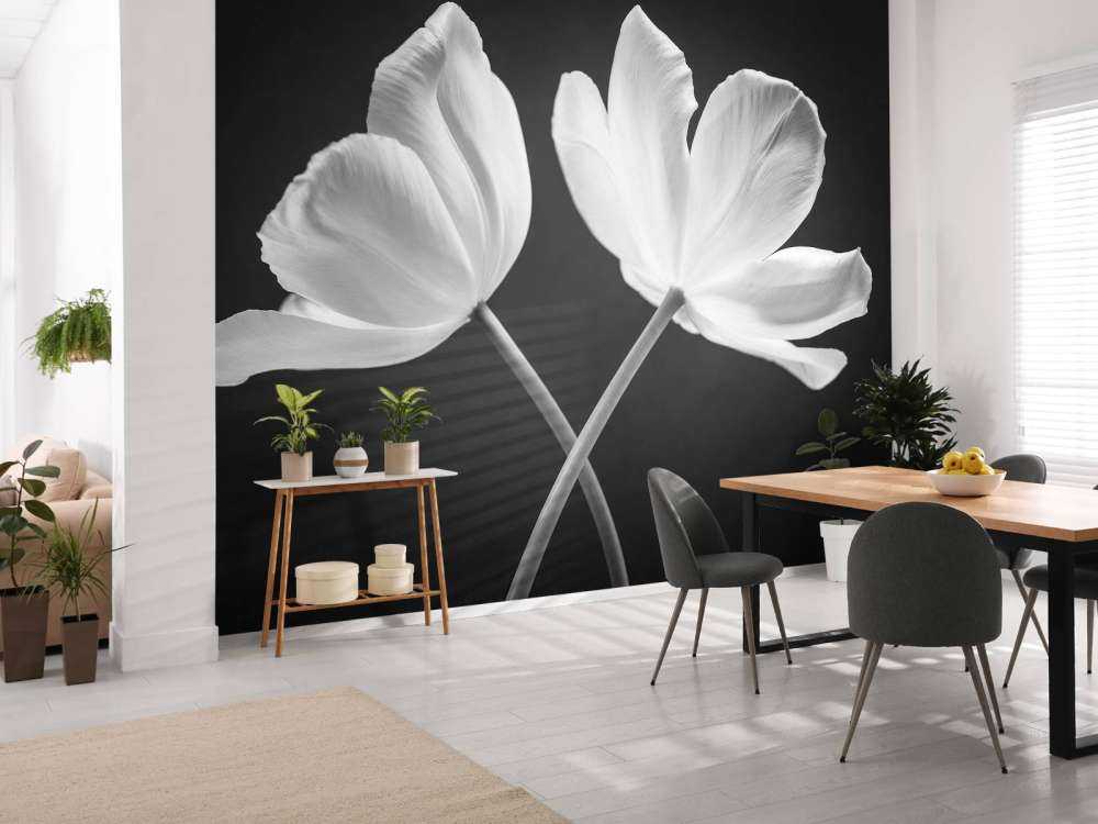 Crossed tulips
