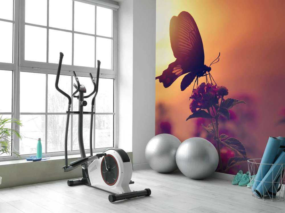 Butterfly with sunset