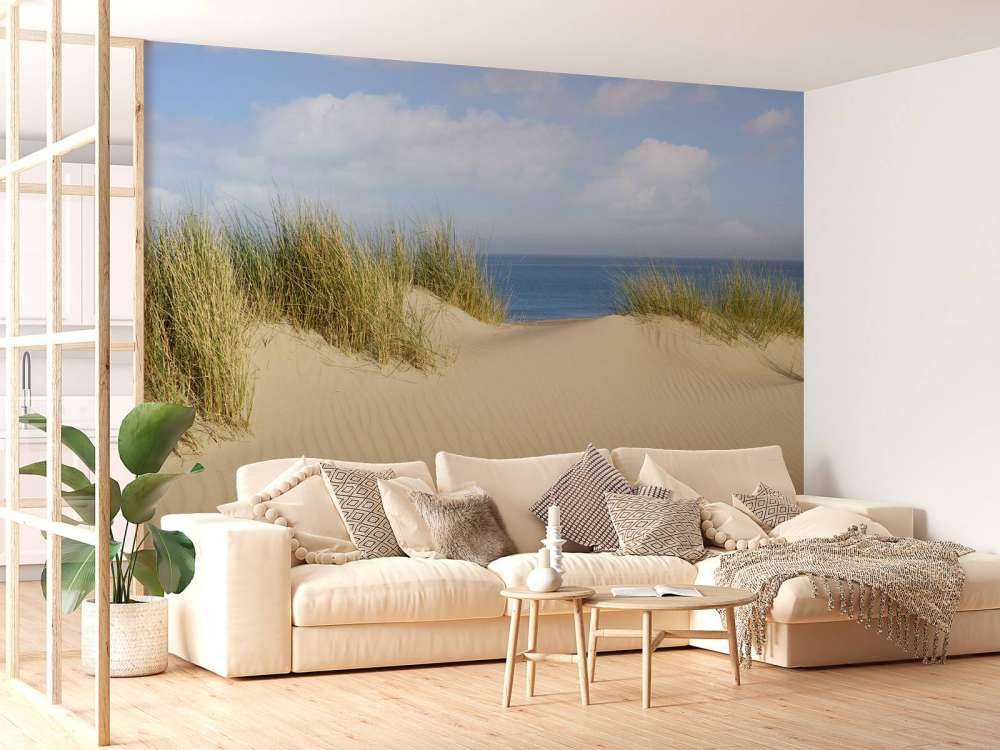 Dune passage to the beach