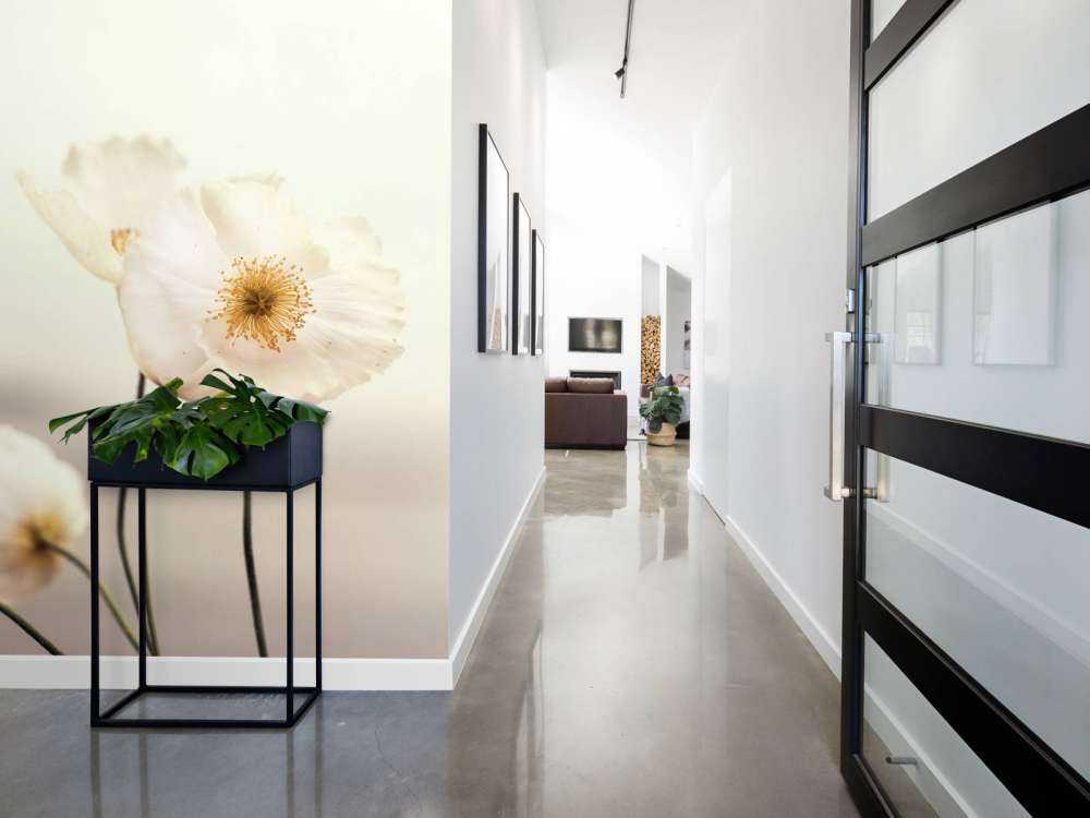 White poppies close-up