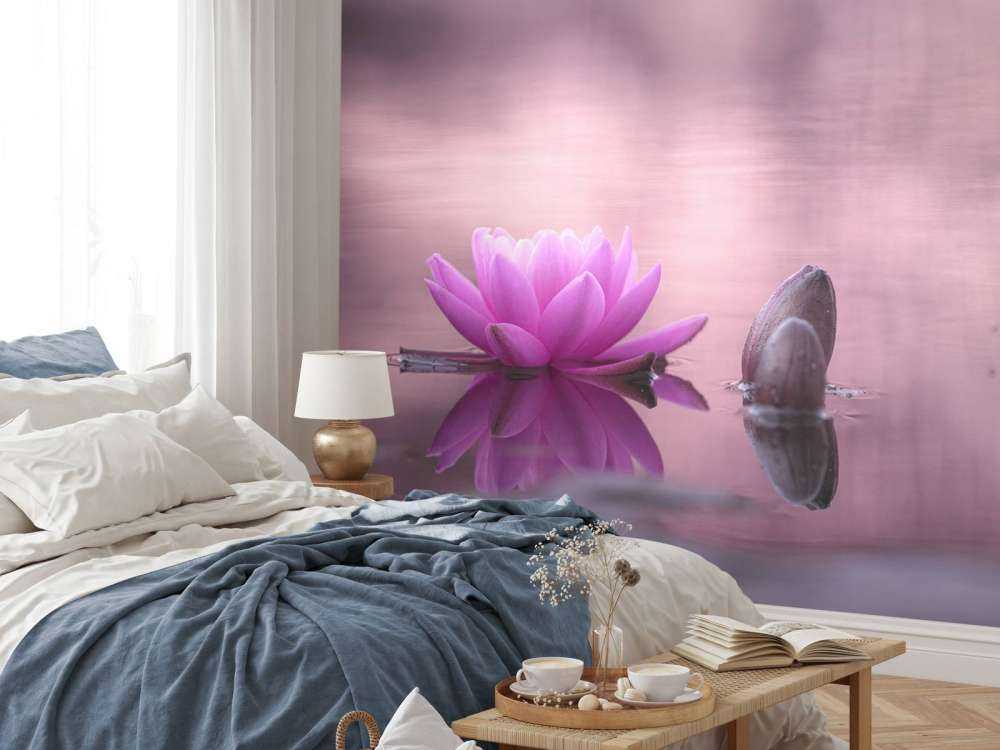 Lotus flower in pond