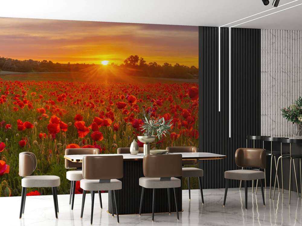 Flowering poppy field