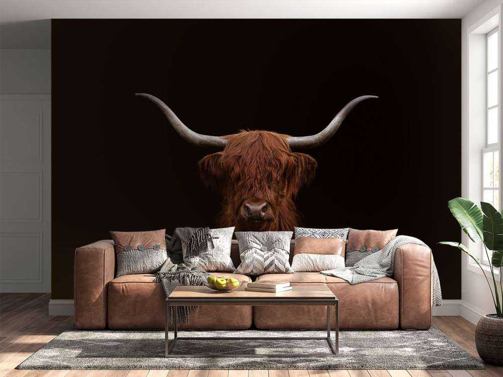 Scottish Highlander on dark background