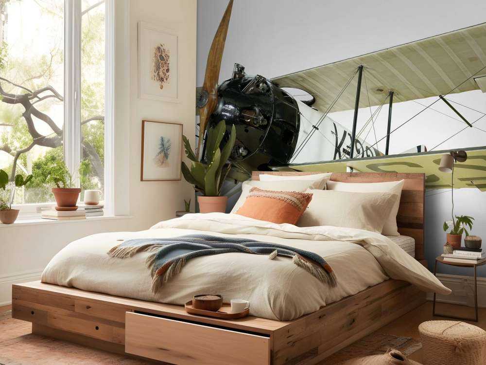 Old plane FK 23 Bantam