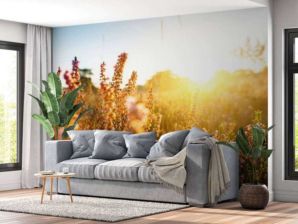 Close-up heather plant