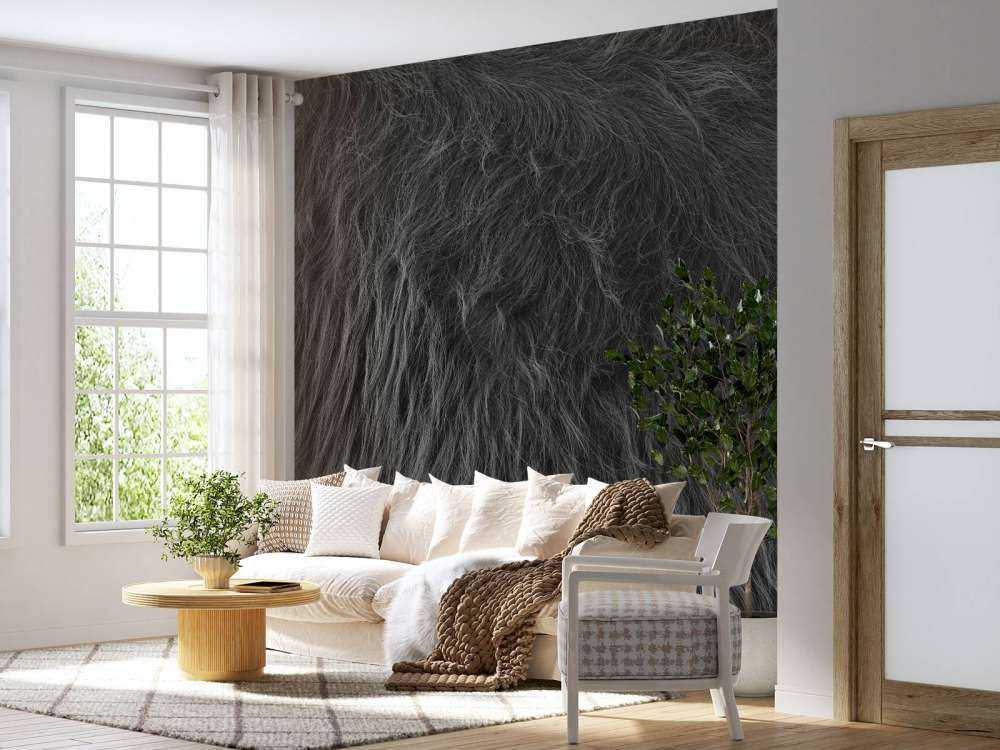 Scottish Highlander coat in black and white