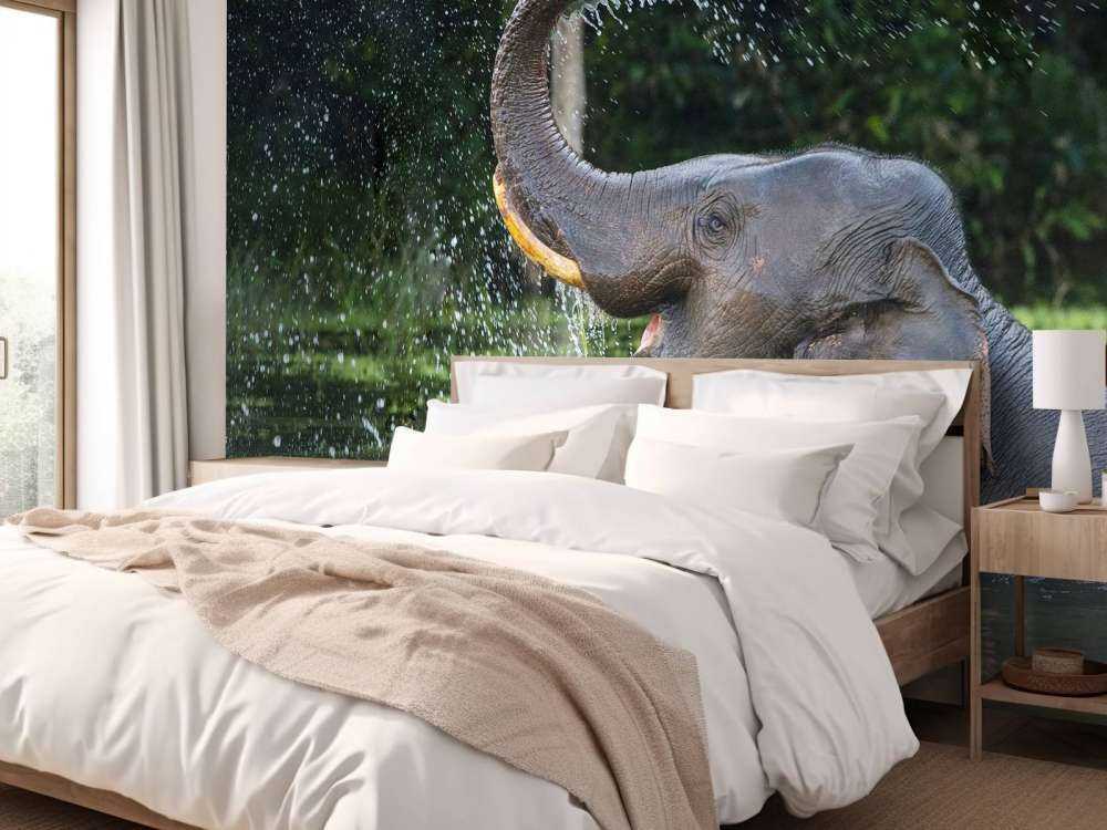 Elephant in water