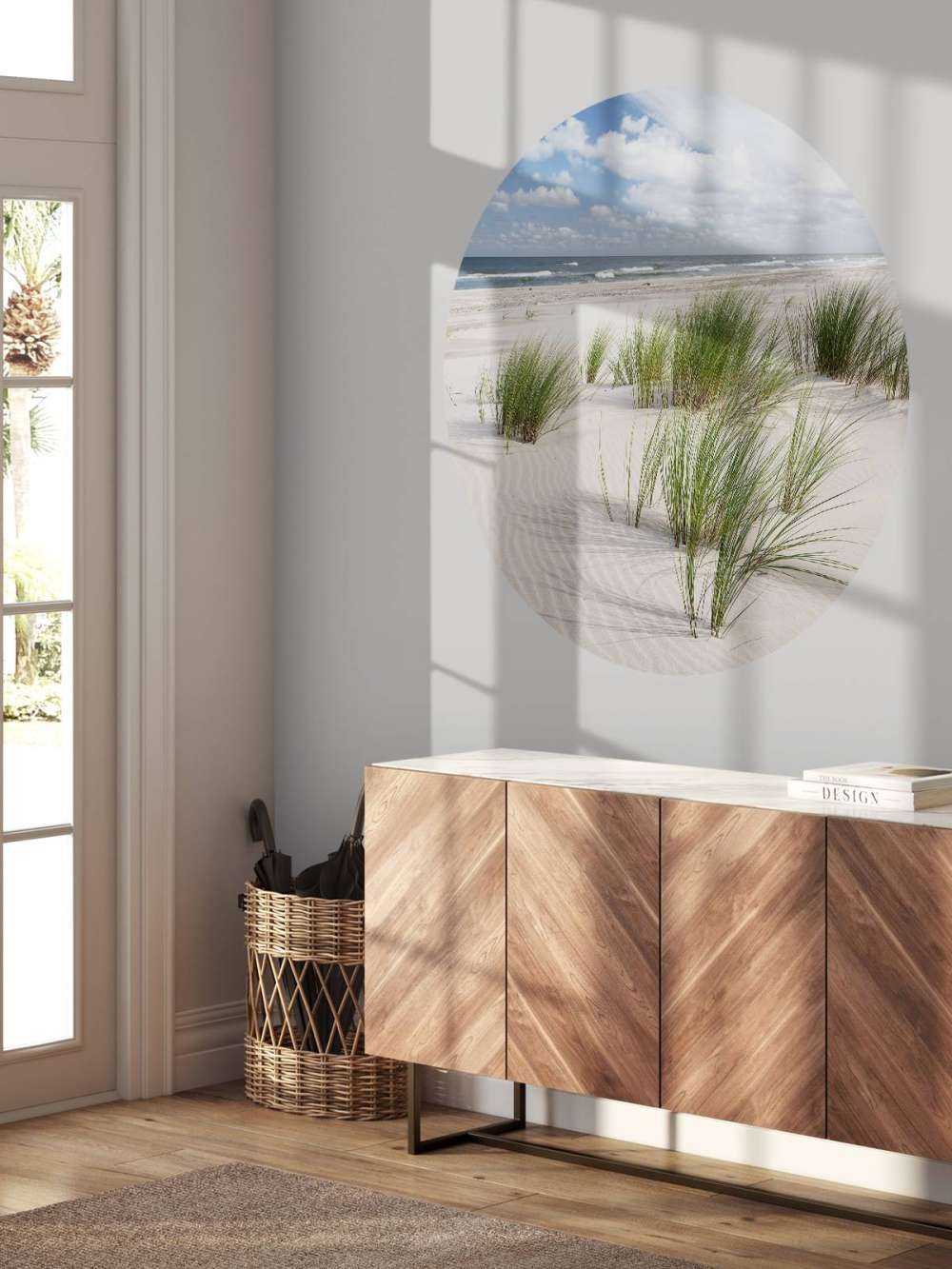 Beach with dune plants