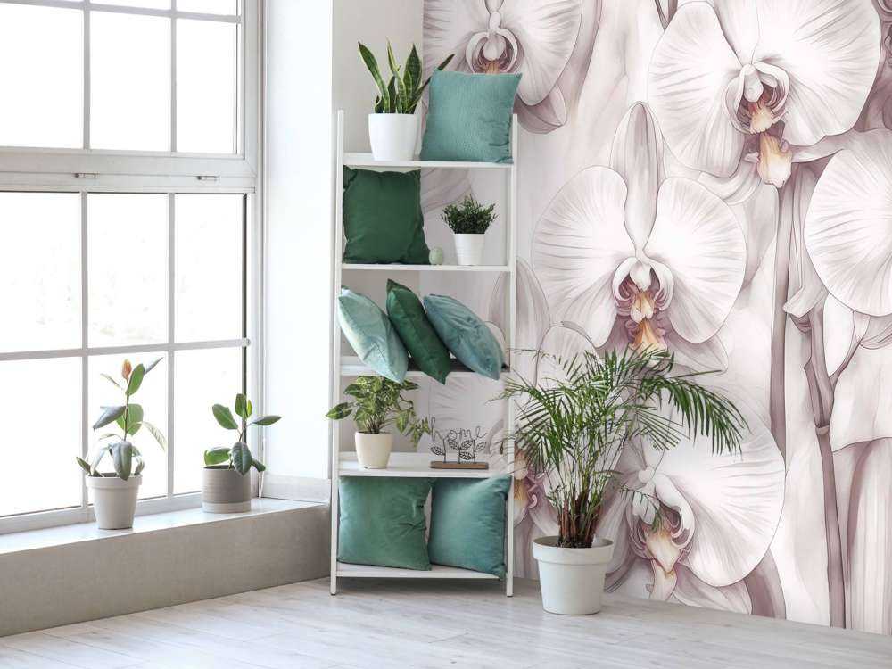 Orchids Paradise Red