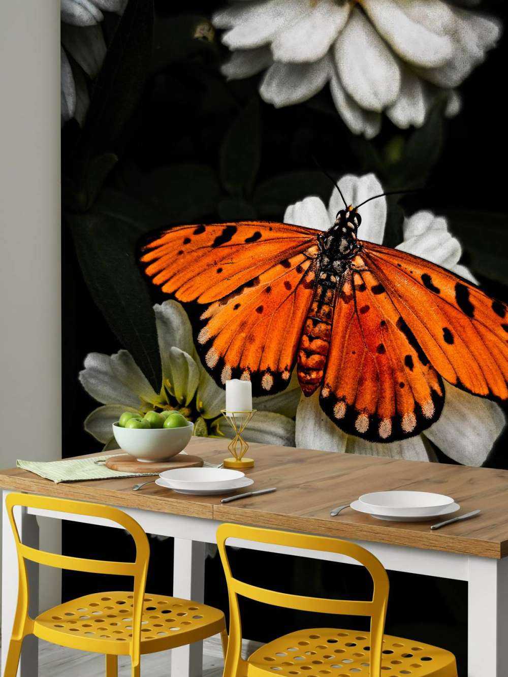 Monarch butterfly on a flower