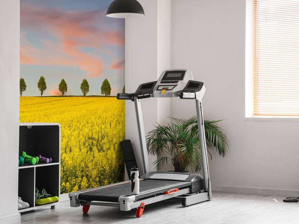 Field full of yellow flowers