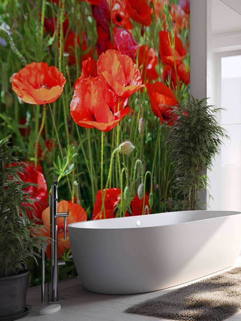 Close-up of poppies