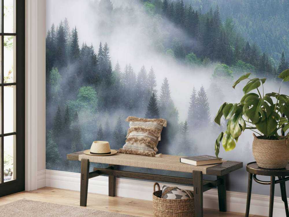 Foggy forest in the mountains