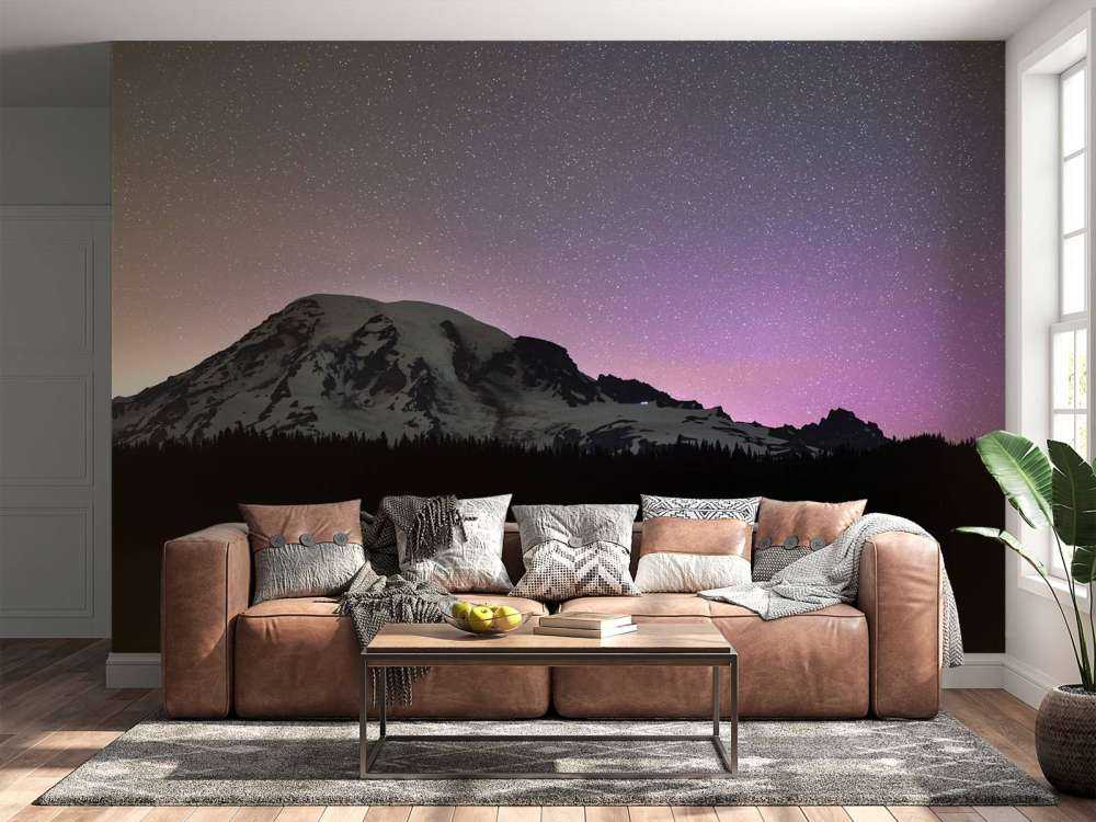 Mount Rainier with northern lights