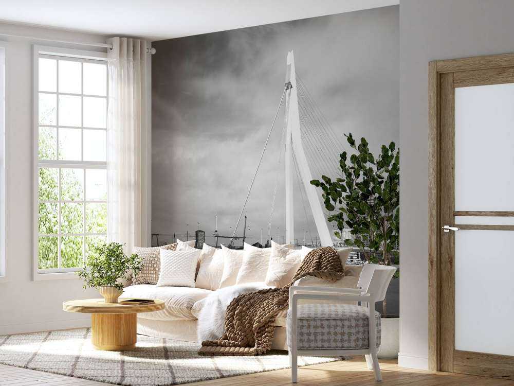 Erasmus Bridge Rotterdam 