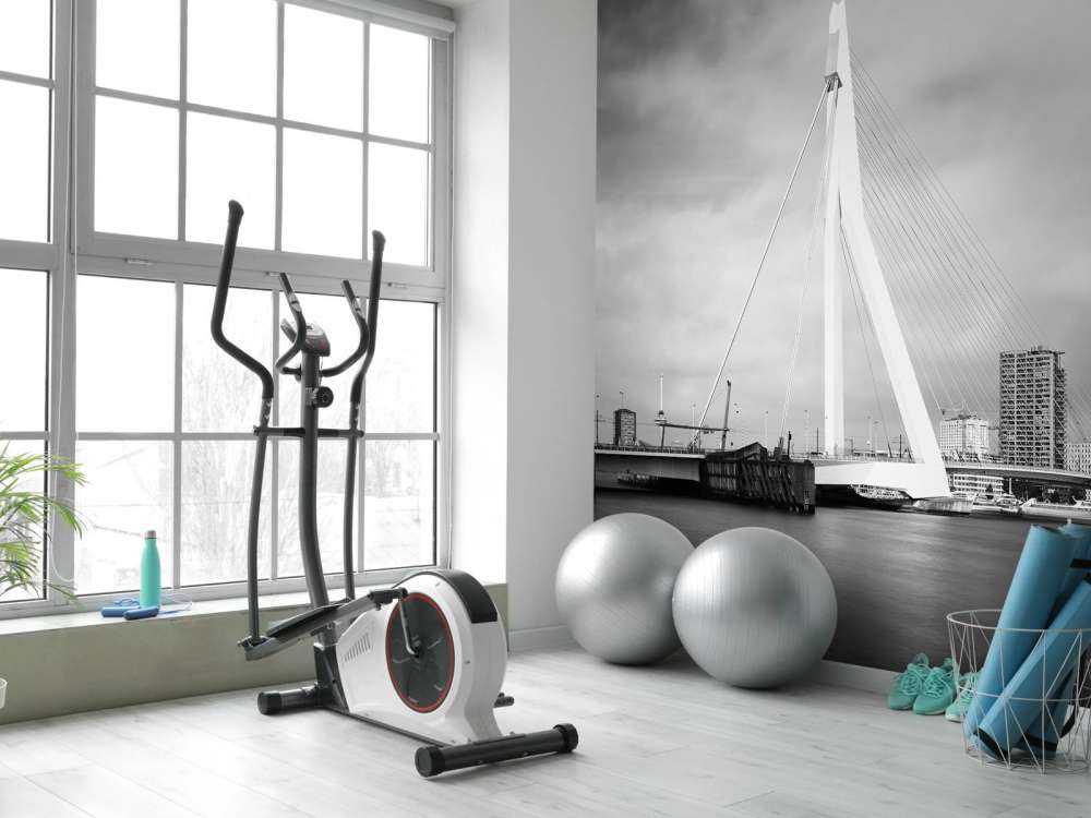 Erasmus Bridge Rotterdam 