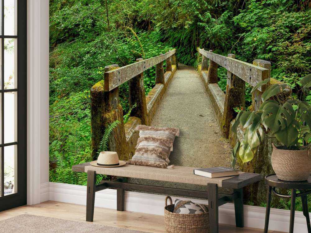 Bridge in the forest