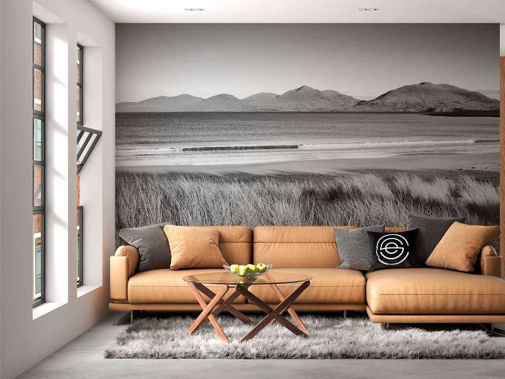 Marram grass, beach and mountains
