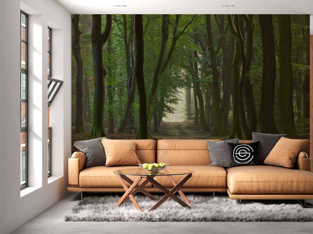 Sandpath in the forest
