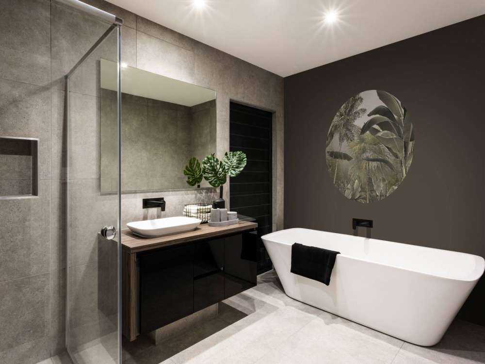 Tropical Mist Forest