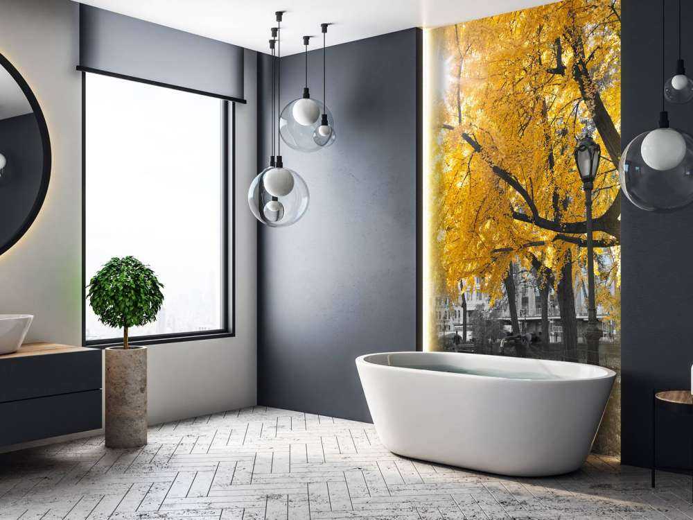 A path through Central Park