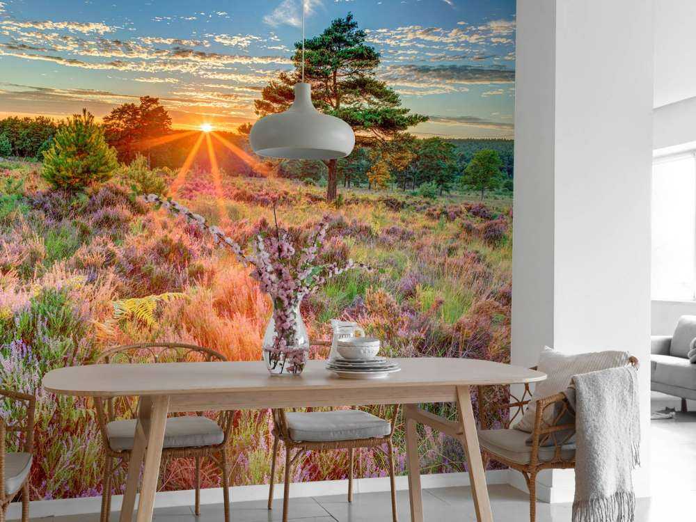 Sunset in the country