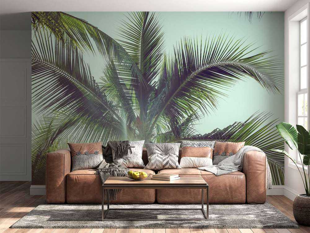 Palm trees in the sun