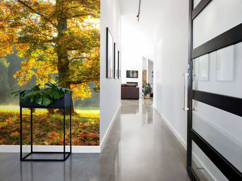 Tree in autumn colours