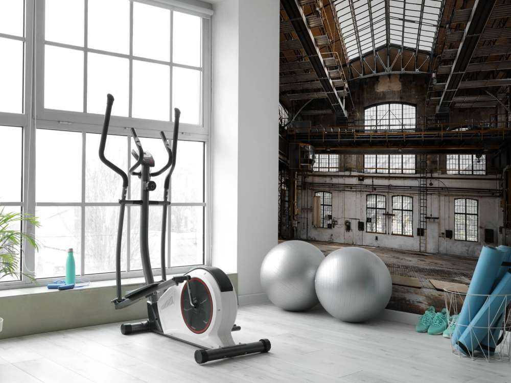 Abandoned industrial hall