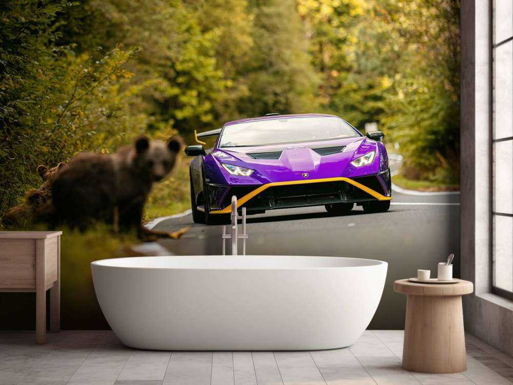 Lamborghini vs. wilderness