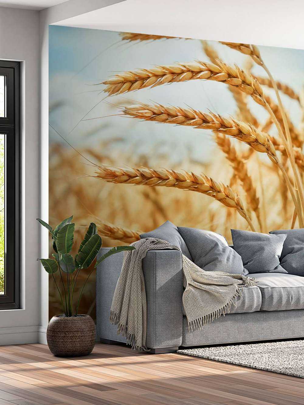 Close up of a cereal plant