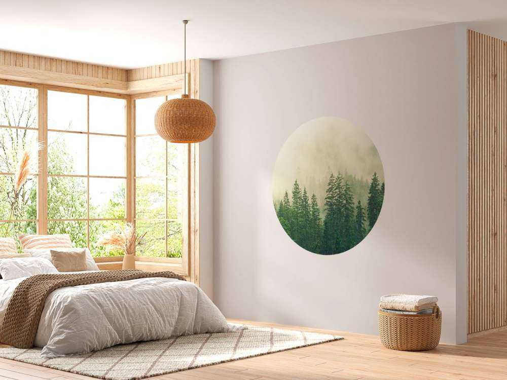 Pine trees in the fog