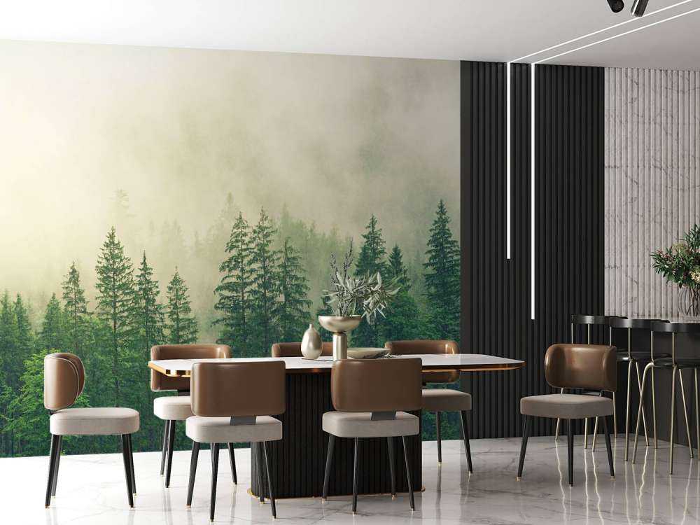 Pine trees in the fog