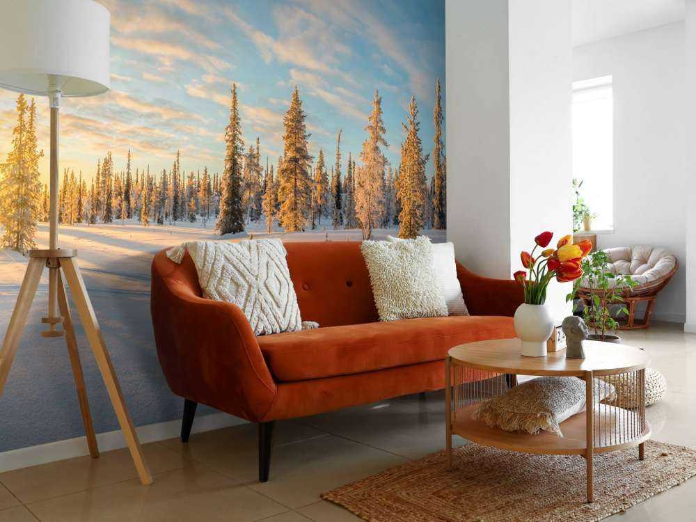 Snow landscape at sunset