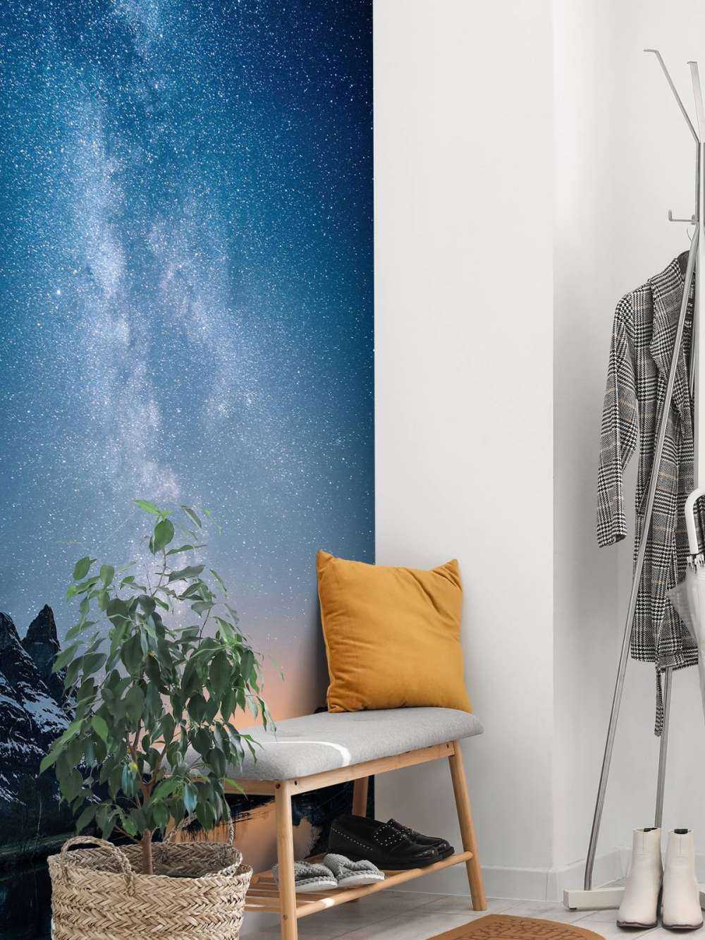 Starry sky in Alaska