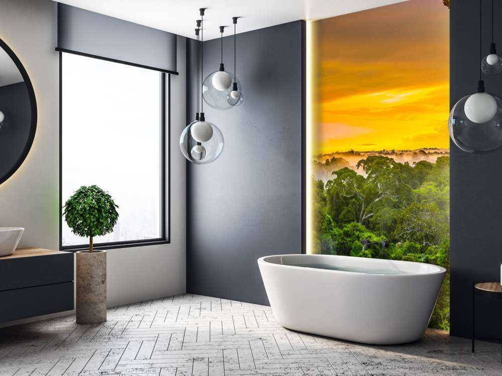 Rainforest in Brazil 